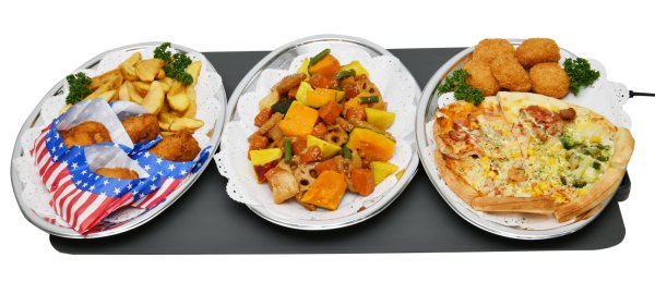 画像2: SEW-F250G　フードウォーマー (2)