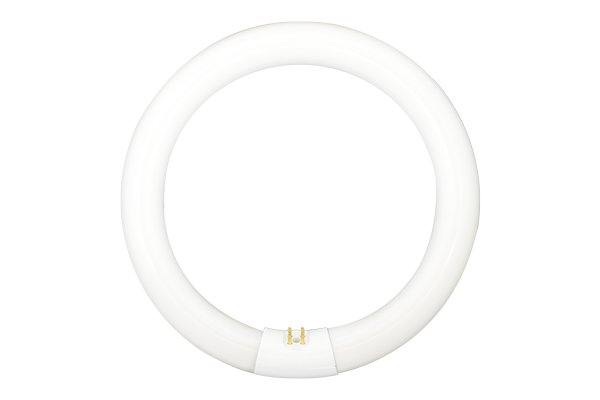 画像1: FCL30BL 誘虫ランプ（丸型30W） (1)